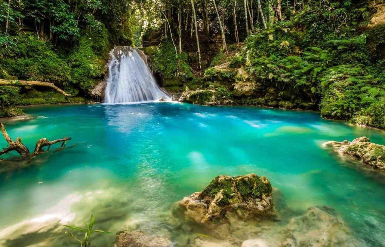 The Roseville Ocho Rios Kültér fotó